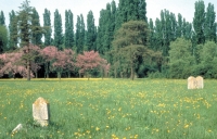 La Fondazione come innovatore sociale