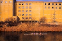 Verso la moneta unica