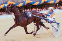 Al trotto e al galoppo