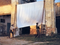 Ferrara: una città per il cinema