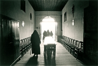 The Sacred in the Novels of Roberto Pazzi 