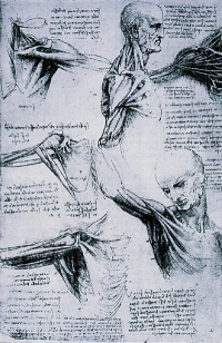 Il Museo anatomico 'Giovanni Tumiati'