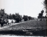 Una carovana per il trasporto della canapa, in una foto d'epoca.