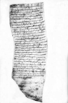Documento di Pomposa, 1010 aprile 30 (Archivio di Montecassino, Carte di Pomposa, fasc. III, n. 36, recto)