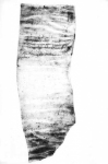Documento di Pomposa, 1010 aprile 30 (Ivi fasc. III, n. 36, verso).
